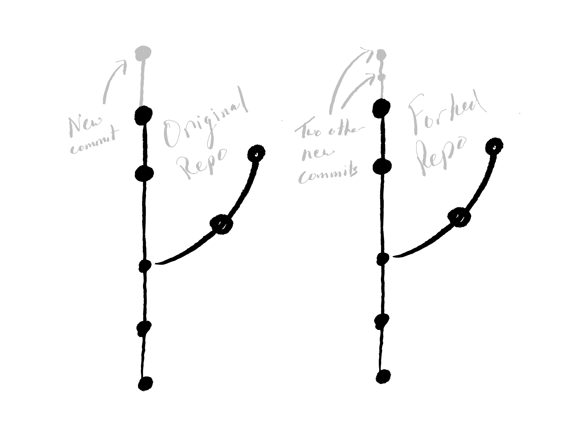 Forked repo & original repo have new commits